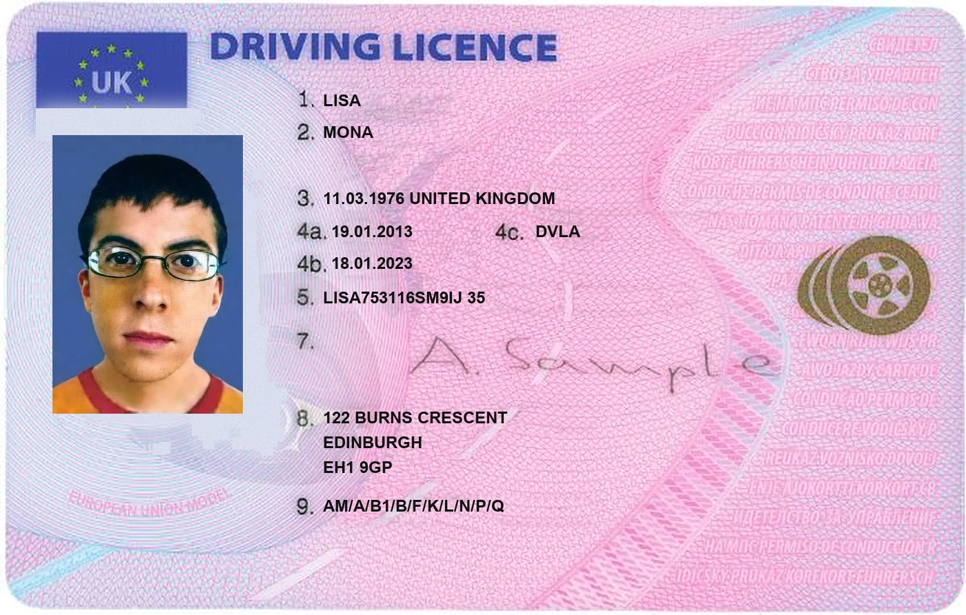 UK Driving Licence